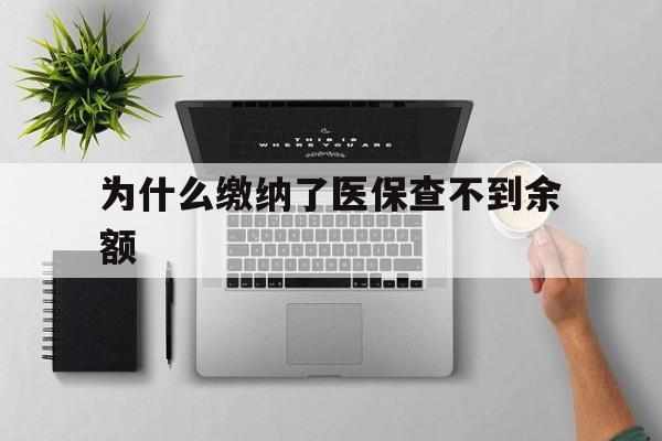 安吉最新为什么缴纳了医保查不到余额方法分析(最方便真实的安吉医保交了费怎么查不到方法)